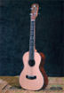 Rosewood /Spruce Top