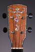 Abalone Inlay Peghead